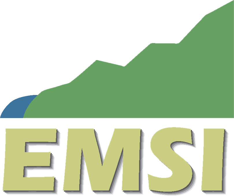 EMSI (Carrier Subsidiary 100%)